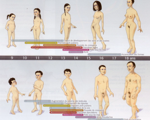 Le Corps Sujetde Platon à Clouscard. (incomplet)